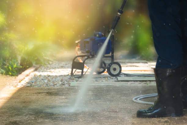 Best Driveway Pressure Washing  in Camp Hill, AL